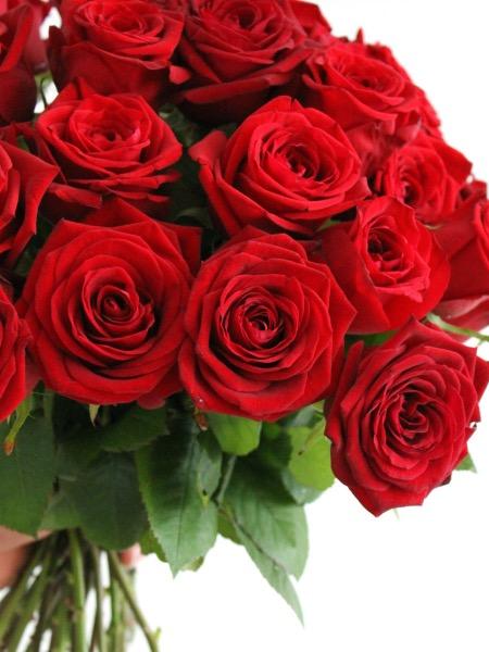 Naistenpäivä ruusuja