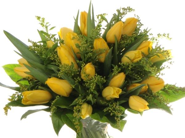 Keltaiset tulppaanit